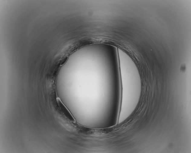 X0000090720601200707201015