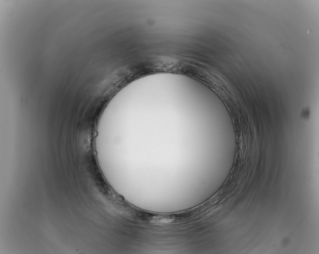 X0000090720602200707201015
