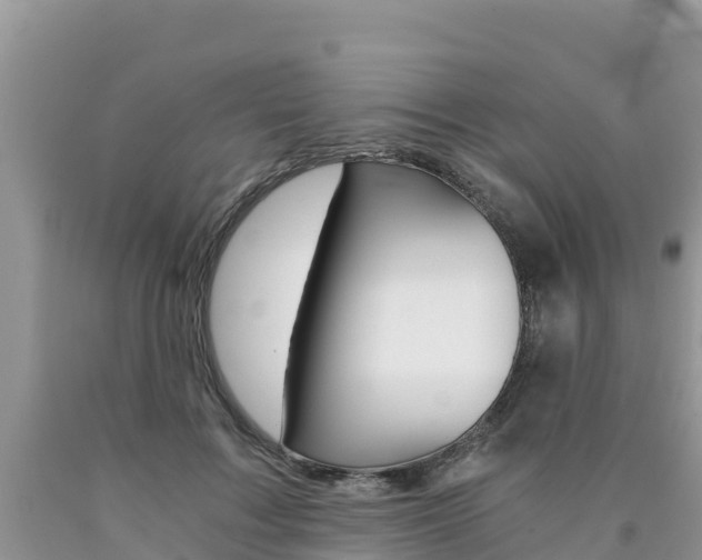 X0000090720603200707201015