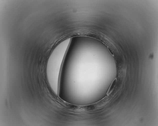 X0000090720604200707201015