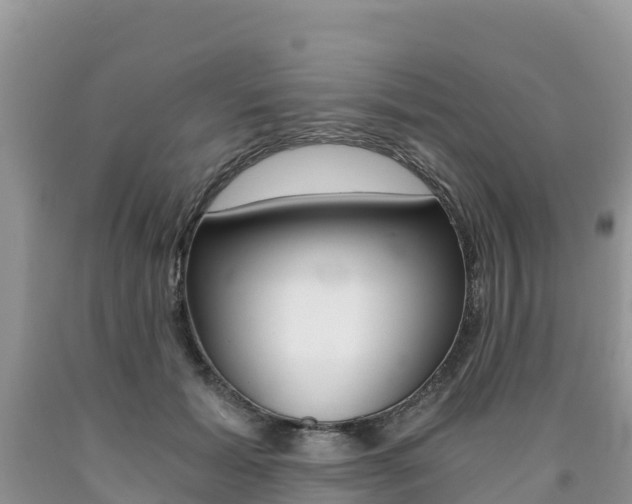 X0000090720605200707201015