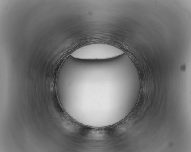 X0000090720606200707201015