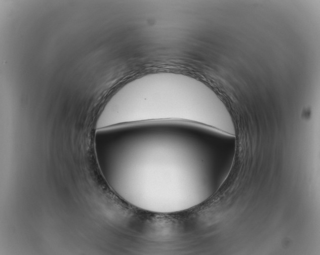 X0000090720608200707201015