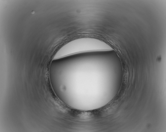 X0000090720609200707201015