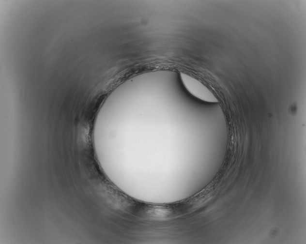X0000090720610200707201015