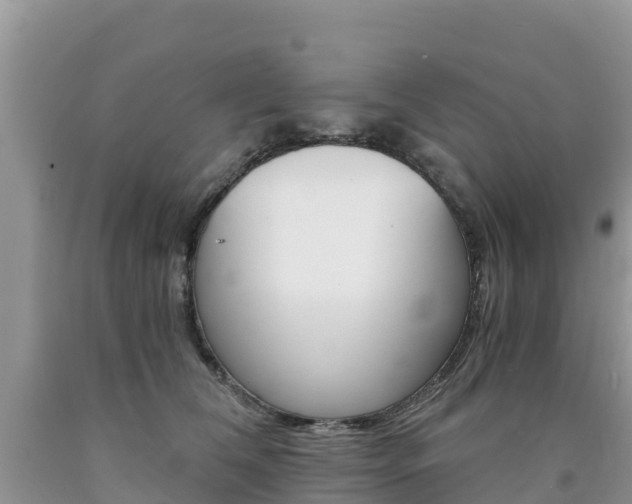 X0000090720612200707201015