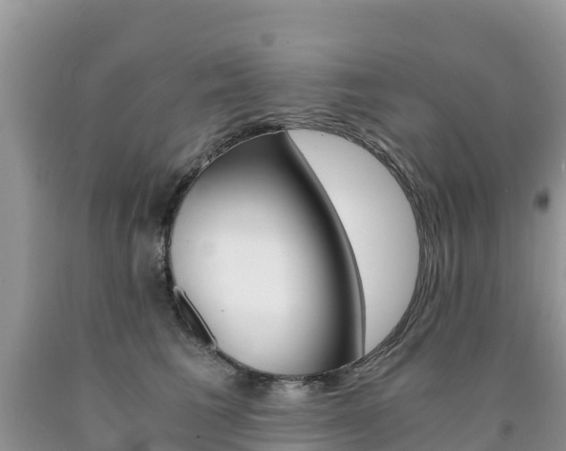 X0000090720613200707201015