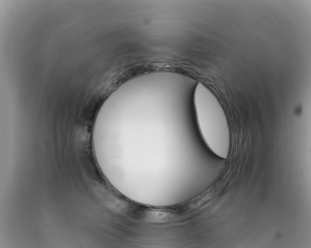X0000090720614200707201015