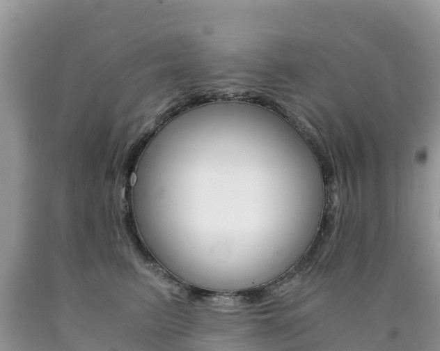 X0000090720615200707201015