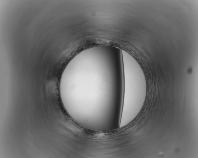 X0000090720616200707201015