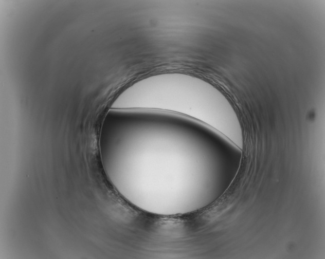 X0000090720617200707201015