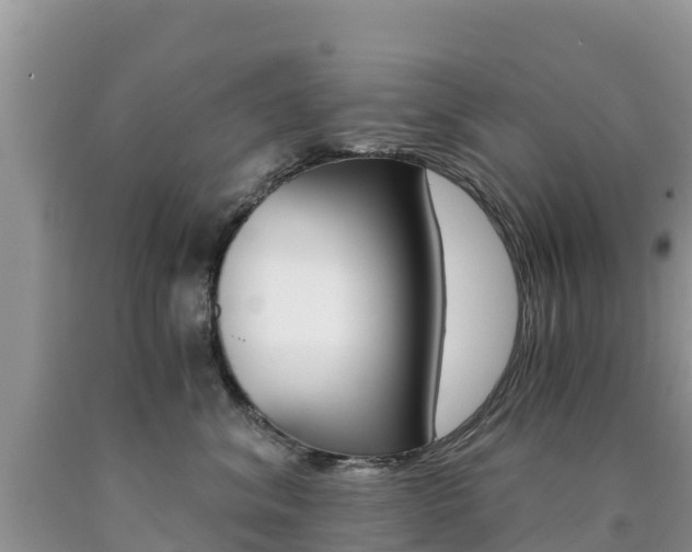 X0000090720620200707201015