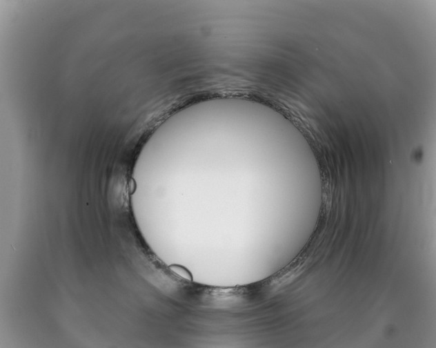 X0000090720622200707201015