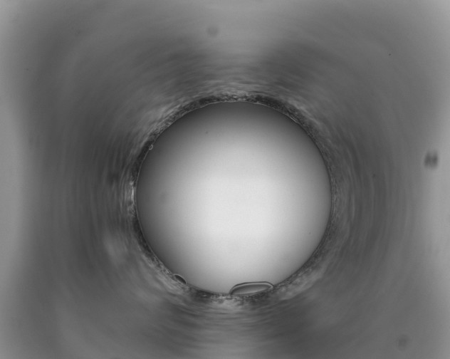 X0000090720624200707201015