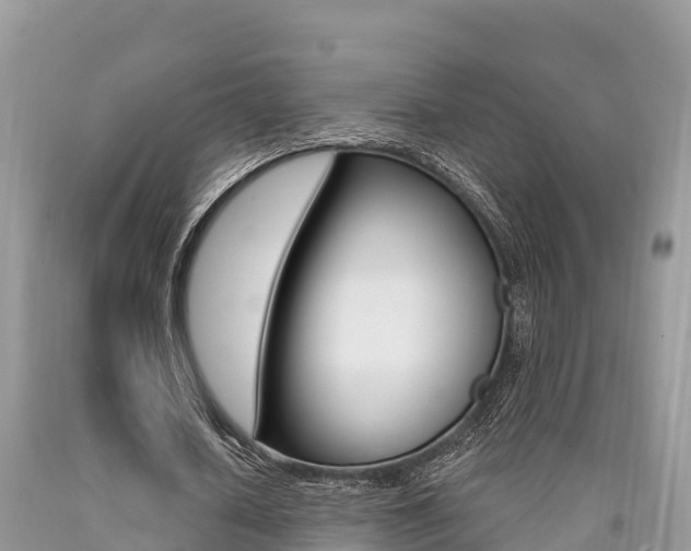 X0000090720626200707201014