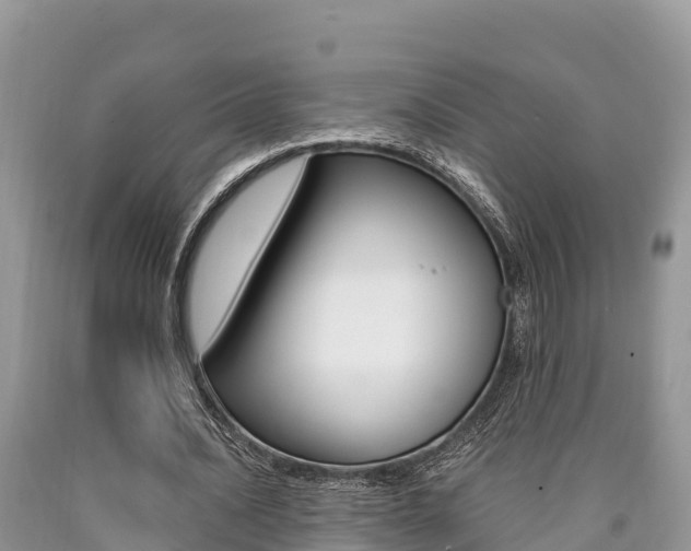 X0000090720628200707201014
