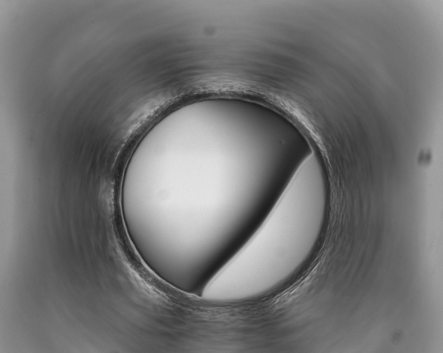 X0000090720629200707201014