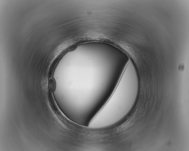 X0000090720630200707201014