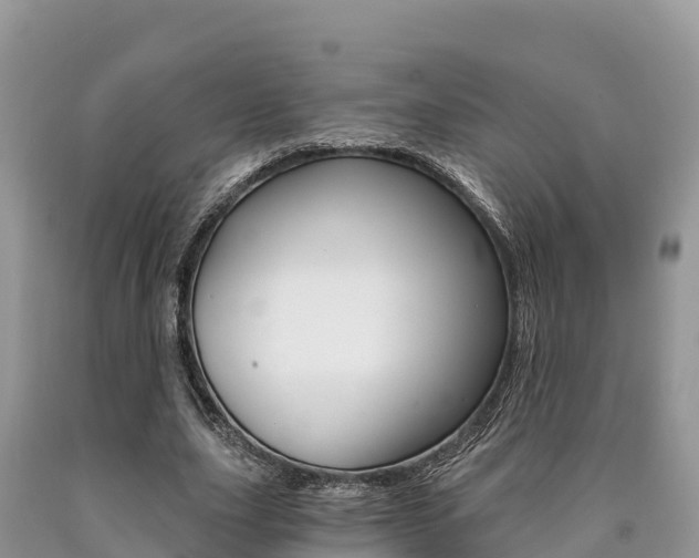 X0000090720631200707201014