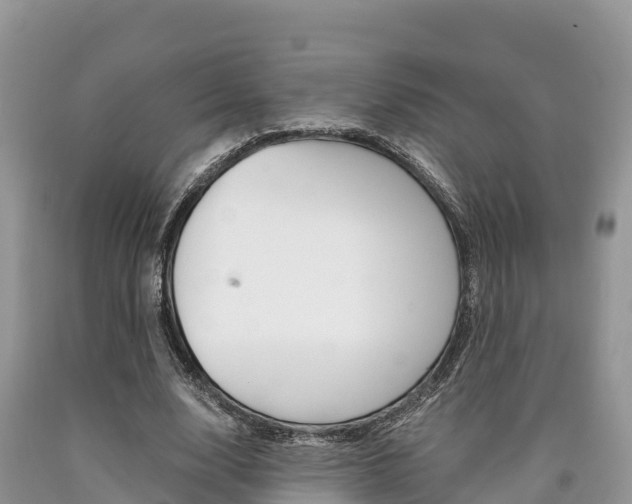 X0000090720632200707201014