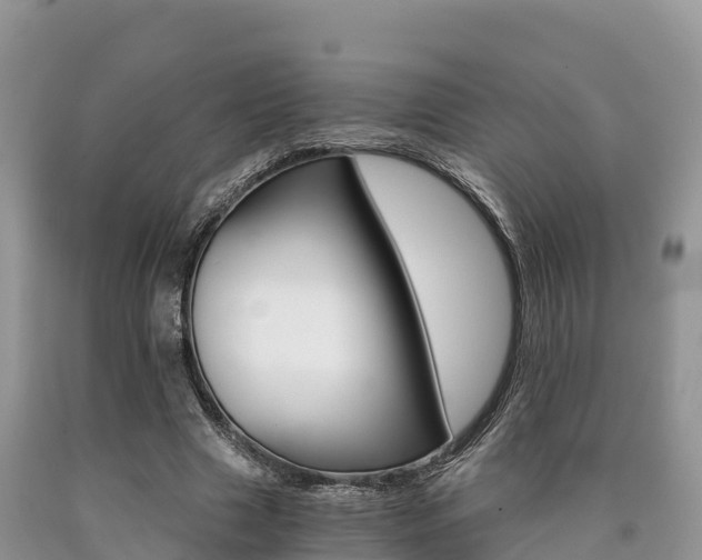 X0000090720633200707201014