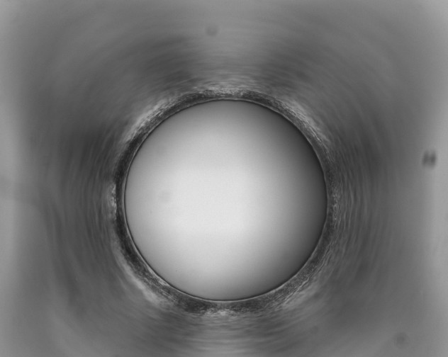 X0000090720634200707201014