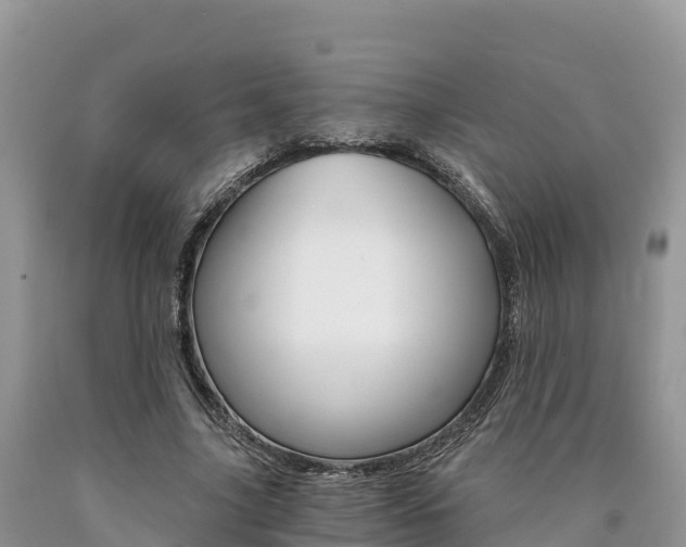 X0000090720635200707201014