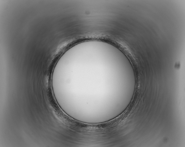 X0000090720636200707201014