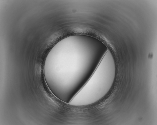 X0000090720637200707201014