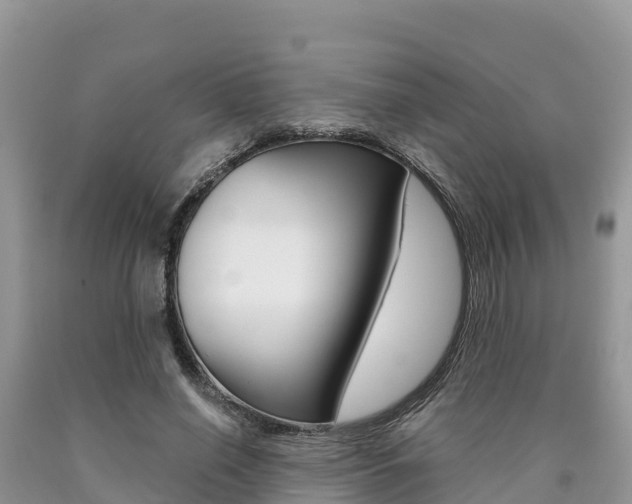 X0000090720638200707201014