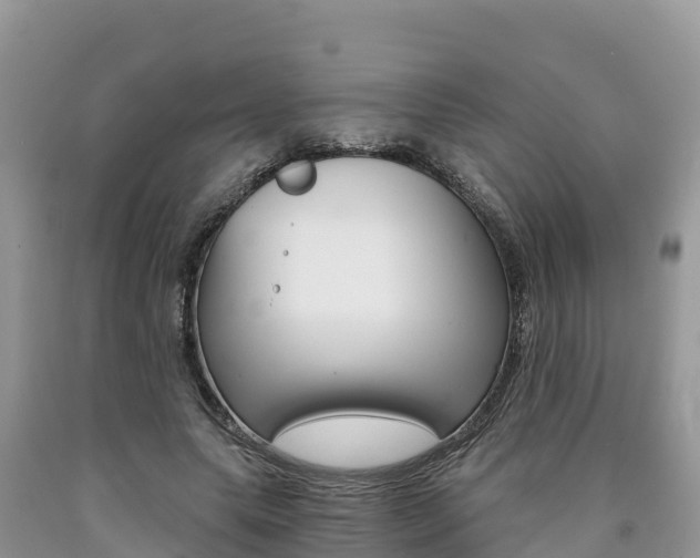 X0000090720639200707201014