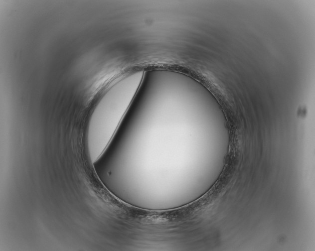 X0000090720640200707201014