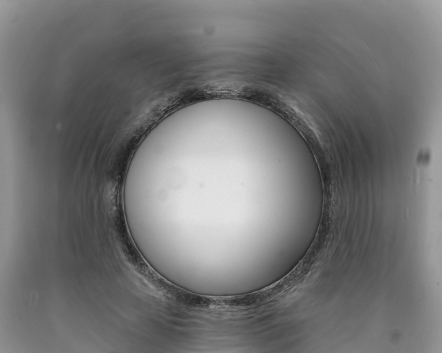 X0000090720641200707201014