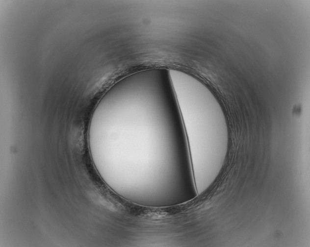 X0000090720642200707201014