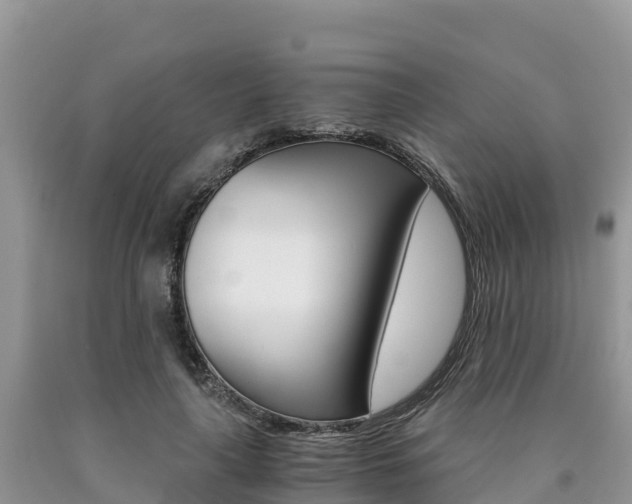 X0000090720643200707201014