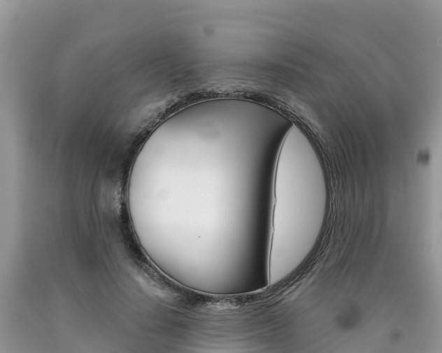 X0000090720644200707201014