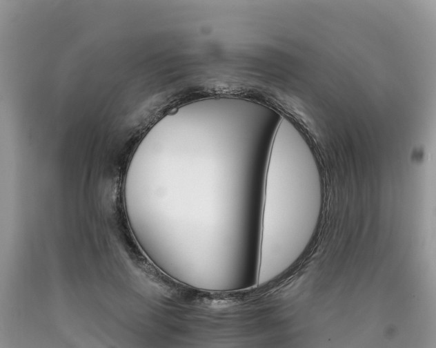 X0000090720645200707201014