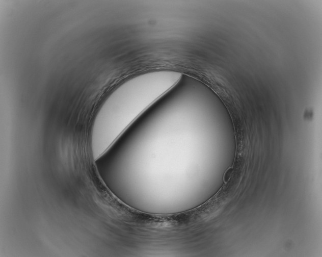 X0000090720646200707201015