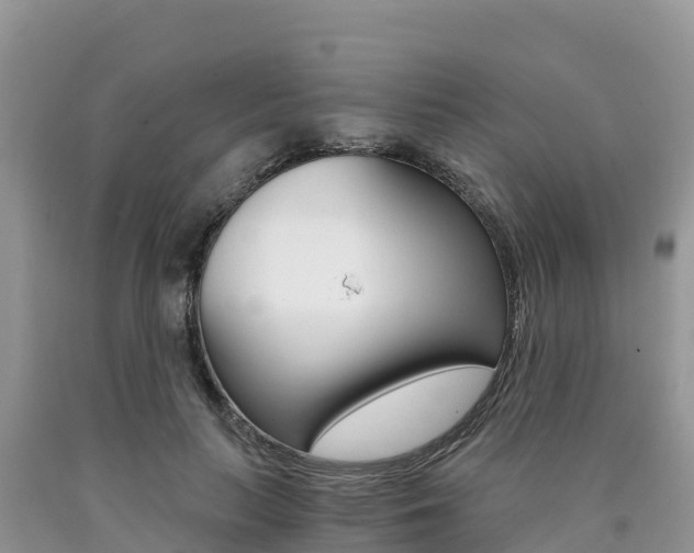 X0000090720647200707201015