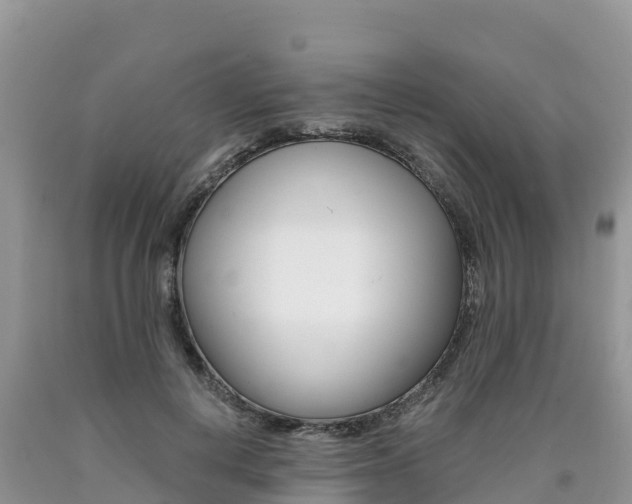 X0000090720648200707201015