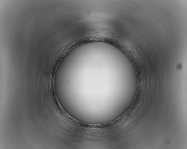 X0000090720649200707201015