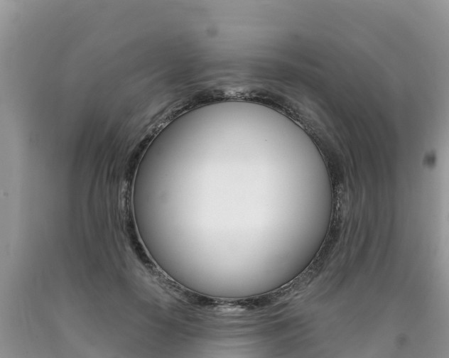 X0000090720650200707201015