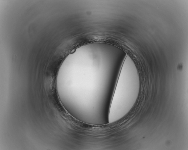 X0000090720651200707201015