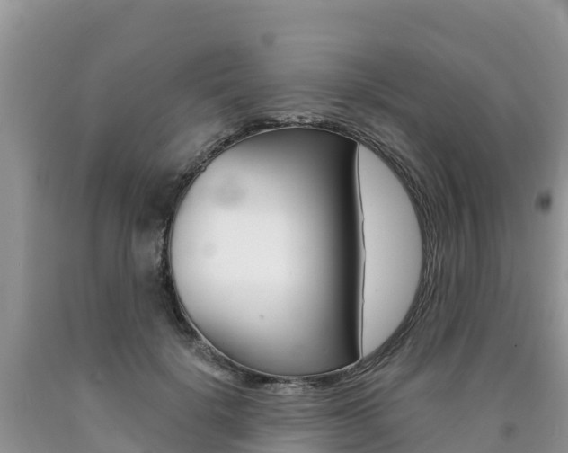 X0000090720652200707201015