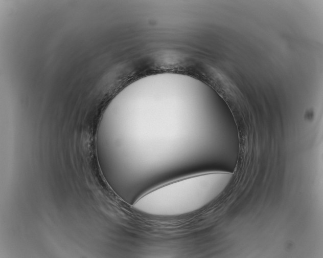 X0000090720653200707201015