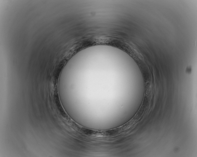 X0000090720655200707201015