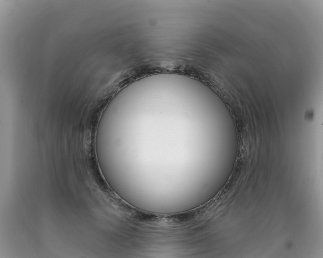 X0000090720656200707201015