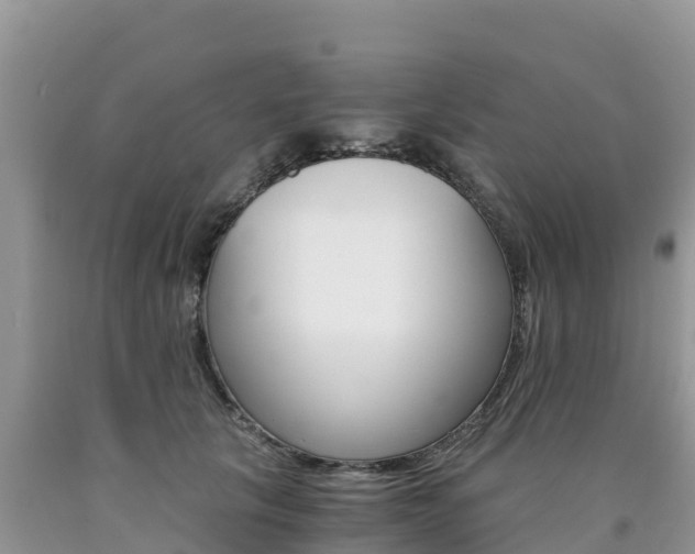 X0000090720657200707201015