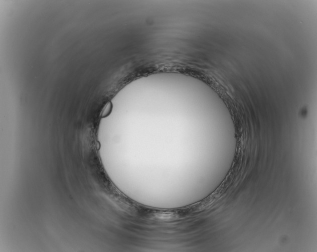 X0000090720659200707201015