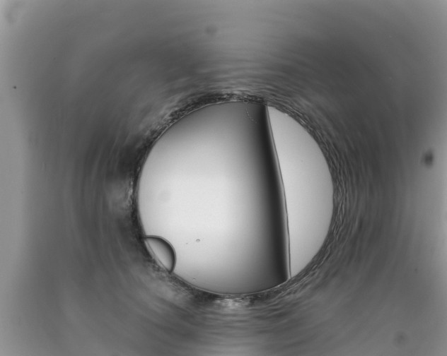 X0000090720660200707201015